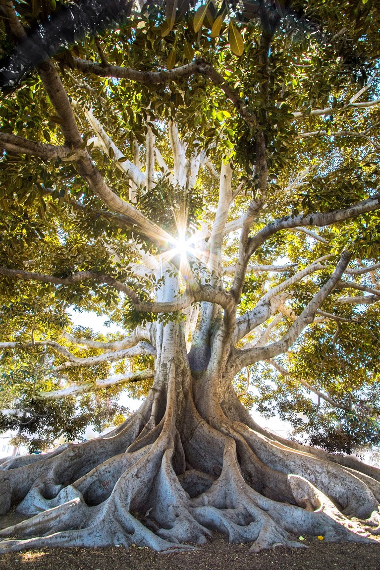 Bild_unsplash_Jeremy-Bishop-EwKXn5CapA4